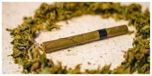 rolled blunt surrounded by grinded weed