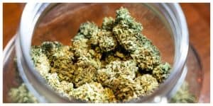 MixCollage-15-Mar-2025-06-12-PM-4315 (1)