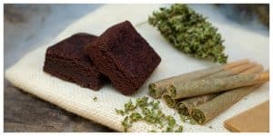 MixCollage-16-Mar-2025-07-53-PM-8221 (1)