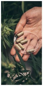 MixCollage-10-Sep-2025-03-24-PM-6001-1-150x300 The Complete Guide to CBG