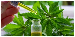 MixCollage-19-Sep-2025-04-07-PM-6310-1-300x150 How to Get Higher from Weed: Tips That Actually Work