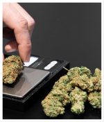 MixCollage-09-Sep-2025-08-36-AM-7741-1-150x176 How to Calculate How Much THC Is in a Joint