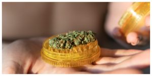 girl holding an orange plastic grinder