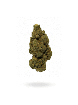 lemon_haze_CBG_Flower_red_eye_monkey-1-300x400 Can You Get Addicted to CBD? 7 Essential Facts Backed by Science