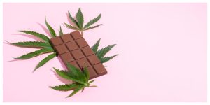 Dark chocolate and cannabis, cbd chocolate and cannabis leaf on pink background.