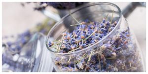 MixCollage-15-Jan-2026-05-59-PM-9675-1-300x150 Herbal Smoking Blends & Tobacco Alternatives: Complete Guide