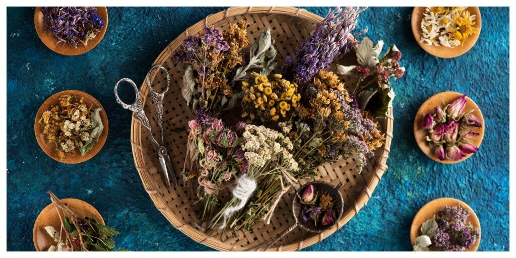Various Dried healing herbs and flowers on a blue background, top view for Herbal smoking Blend recipe idea