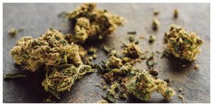 MixCollage-02-Feb-2026-02-10-PM-2237-1-300x150 4 Creative Herbal Smoking Blend Recipe Ideas: Complete DIY Guide