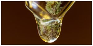 MixCollage-12-Feb-2026-03-10-PM-4441-1-300x150 What Is CBD Paste? Benefits & How It Compares to CBD Oil