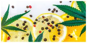 MixCollage-27-Feb-2026-09-43-AM-7946-1-300x150 3 Reasons Why Lemon Haze is The Perfect Daytime Strain