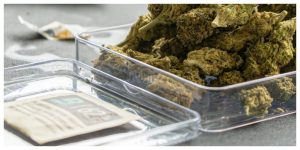 MixCollage-05-Mar-2026-03-59-PM-8599-1-300x150 How to Store Weed Properly and Keep It Fresh for Months