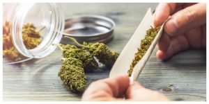 MixCollage-13-Mar-2026-08-53-AM-1940-1-300x150 5 Accessories That Make The Perfect Rolling Setup