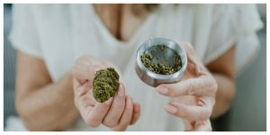 MixCollage-19-Mar-2026-06-40-AM-6430-1-300x150 What To Do With Kief? Simple Ideas for Grinder Kief