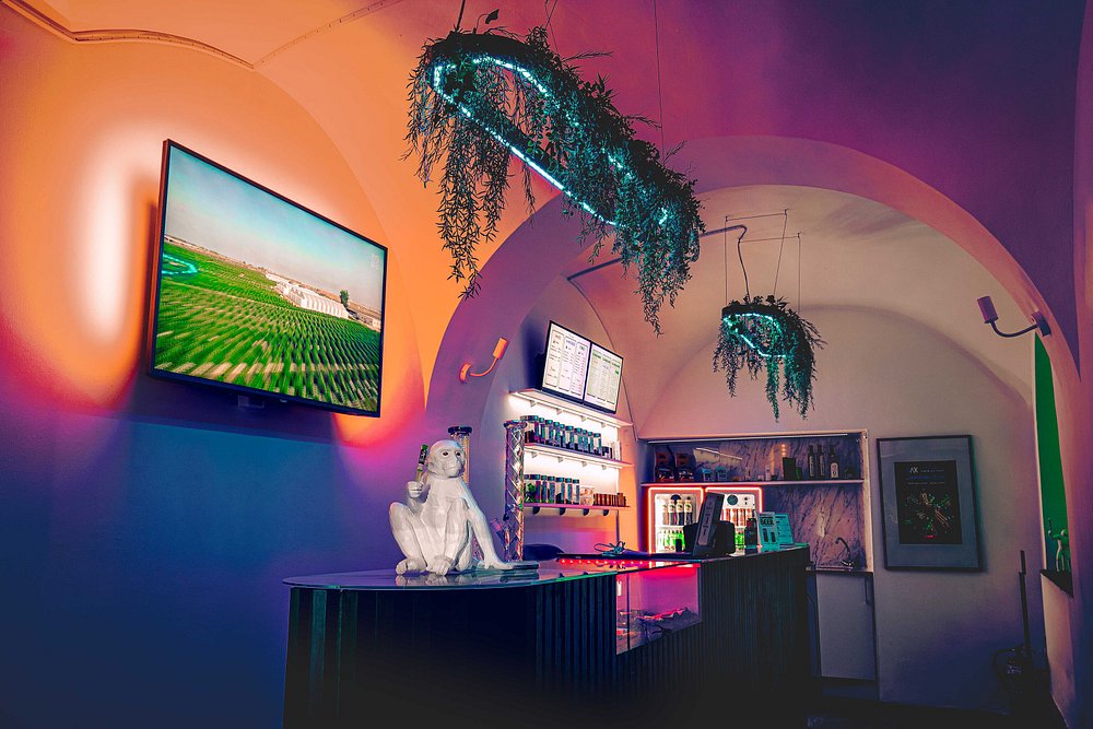 Store-redeye1 About Us