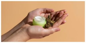 cbd cream for skin treatments, hands holding cbd for herpes cream with two cannabi buds