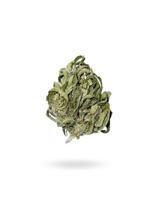 Morana CBG Flower (CBG-5%)