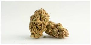 MixCollage-20-May-2026-01-53-PM-8783-1-300x150 What Is CBG Flower? Effects, Benefits and CBD Comparison