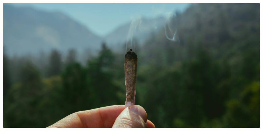The Herbal Blend Personality Test: Which Smoking Blend Are You?