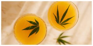 MixCollage-09-Jul-2026-03-44-PM-2849-2-300x150 7 CBD Summer Drink Recipes to Keep You Cool