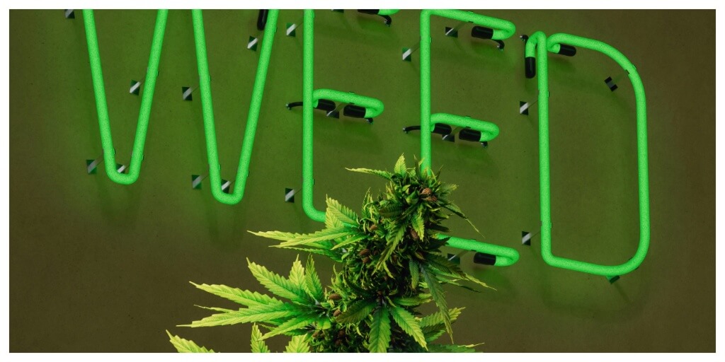 green neon sign 'weed' and cannabis plant, stoner stereotype photo