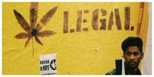 MixCollage-31-Jul-2026-07-30-AM-8071-1-300x150 Everything You Need to Know About Cannabis Culture