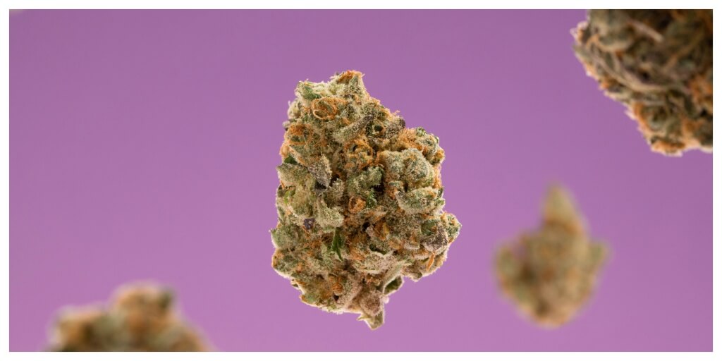 30 Weird & Funny Cannabis Strain Names You Won’t Forget